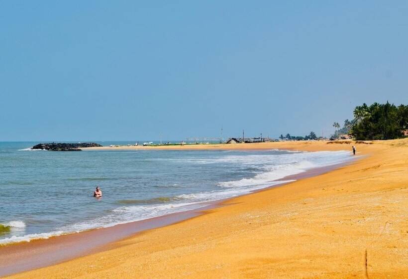 펜션 Rico Shadow Guest House