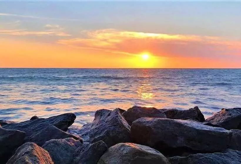 Пансион Rico Shadow Guest House