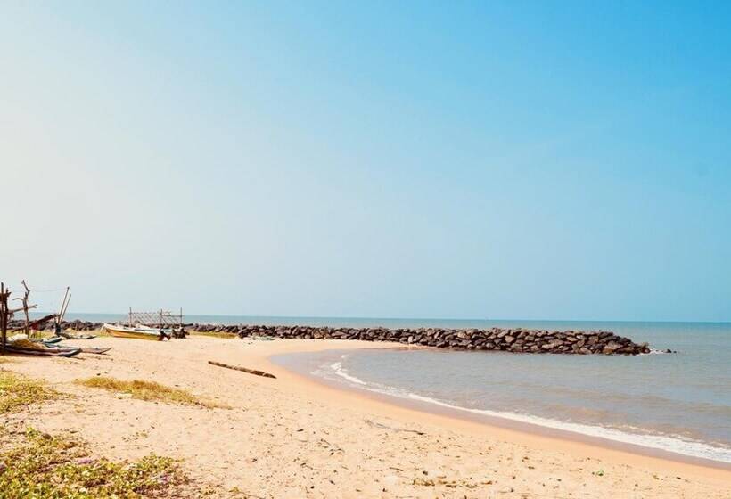 펜션 Rico Shadow Guest House