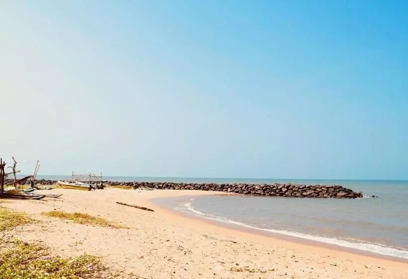 Пансион Rico Shadow Guest House