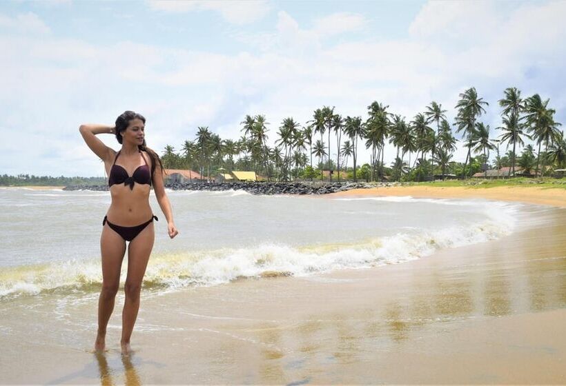 펜션 Rico Shadow Guest House