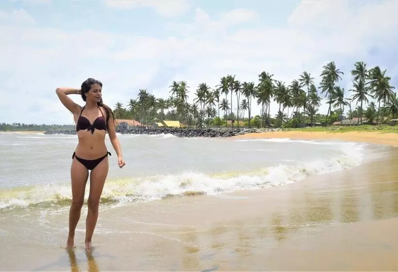 Пансион Rico Shadow Guest House