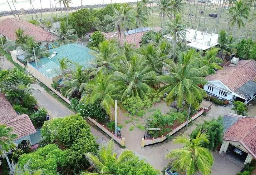 Пансион Rico Shadow Guest House