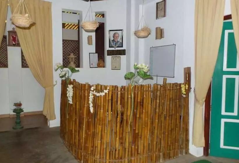 Пансион Rico Shadow Guest House