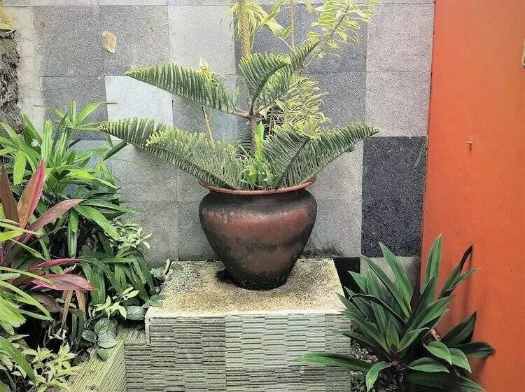 پانسیون Villa Anjing