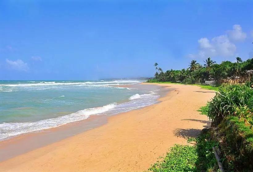 리조트 The Beach Cabanas Retreat & Spa