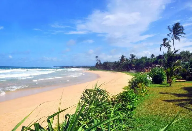 リゾートホテル The Beach Cabanas Retreat & Spa