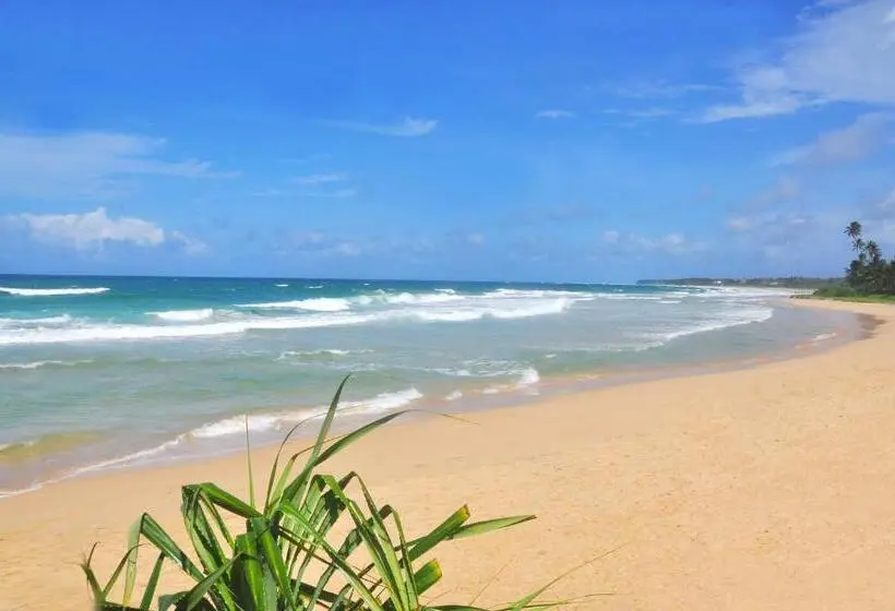 リゾートホテル The Beach Cabanas Retreat & Spa