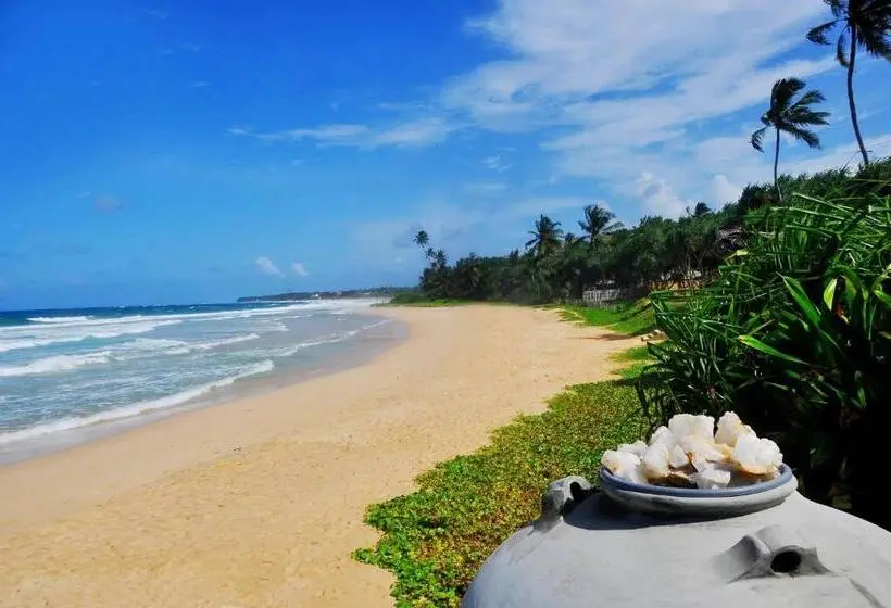 リゾートホテル The Beach Cabanas Retreat & Spa