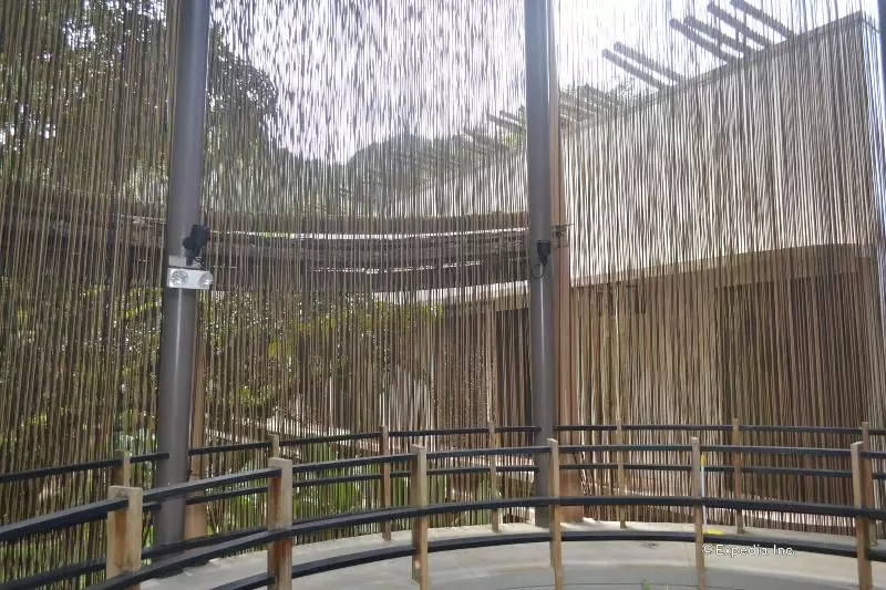 Spin Designer Hostel   El Nido