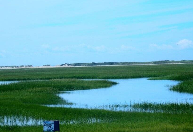 Awol Hotel Provincetown