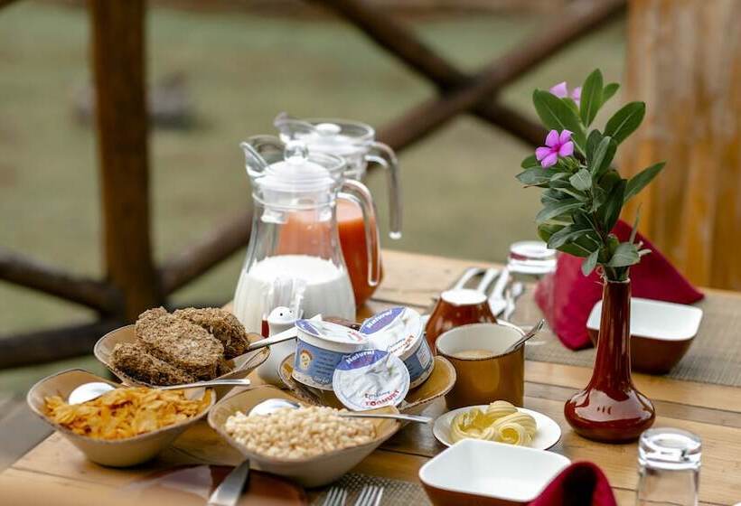 ホテル Escarpment Luxury Lodge