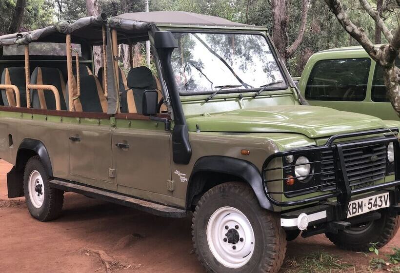 Hotel Hammerkop Migration Camp