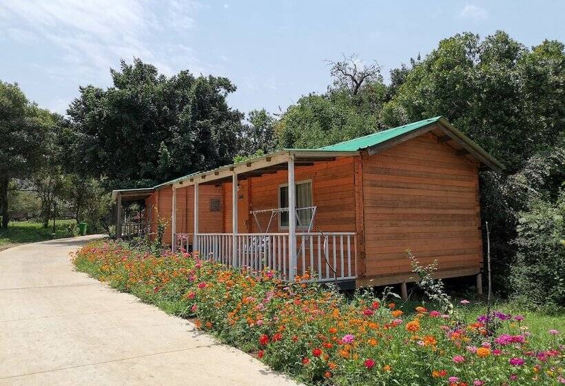 هتل Jambo Mara Safari Lodge