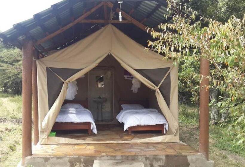 هتل Mara Springs Safari Camp