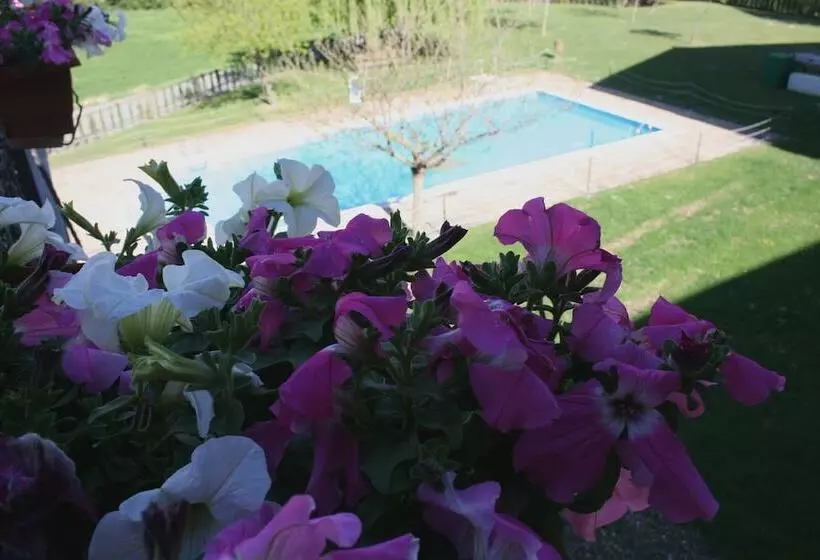 ホテル & Spa Peña Montañesa