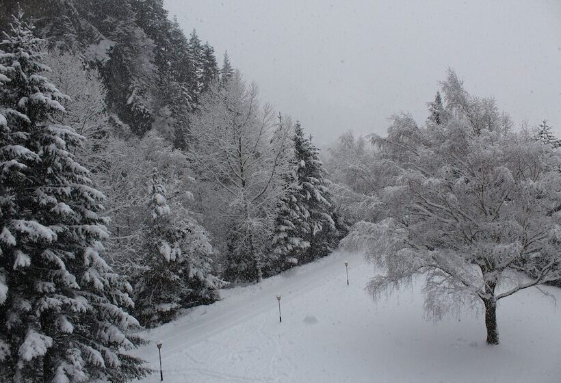 Отель Sportland Inn