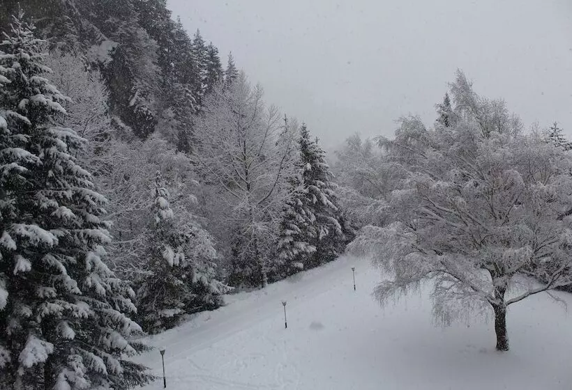 Hotelli Sportland Inn