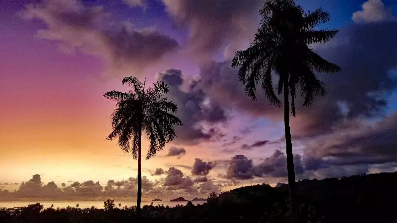 هتل La Trouvaille Holiday Chalets