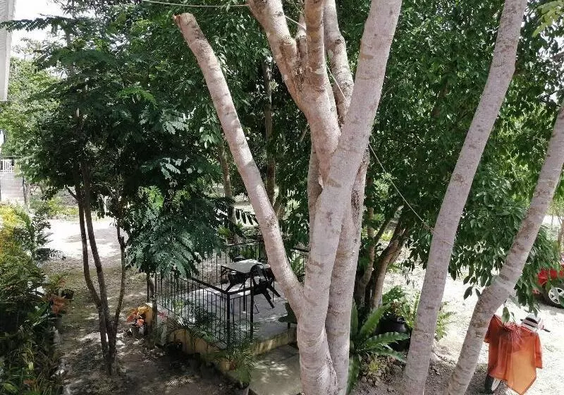 Almira Diving Resort