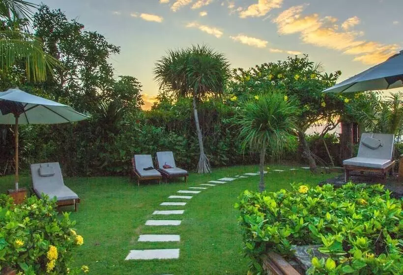 Arya Amed Beach Resort And Dive Center