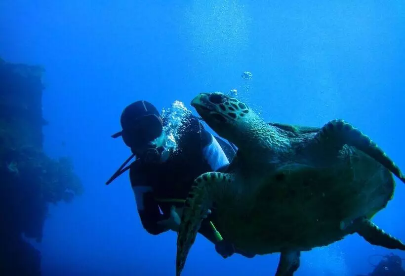 Arya Amed Beach Resort And Dive Center