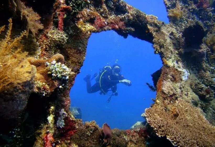 Arya Amed Beach Resort And Dive Center