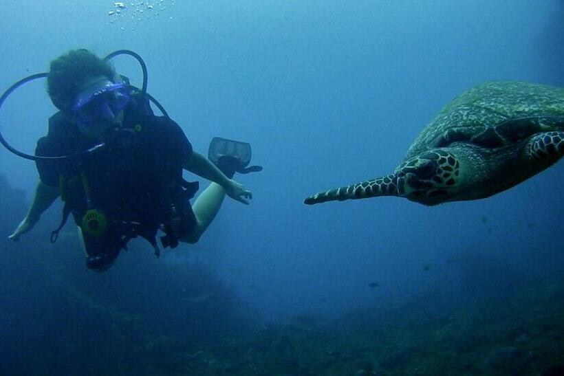 Arya Amed Beach Resort And Dive Center