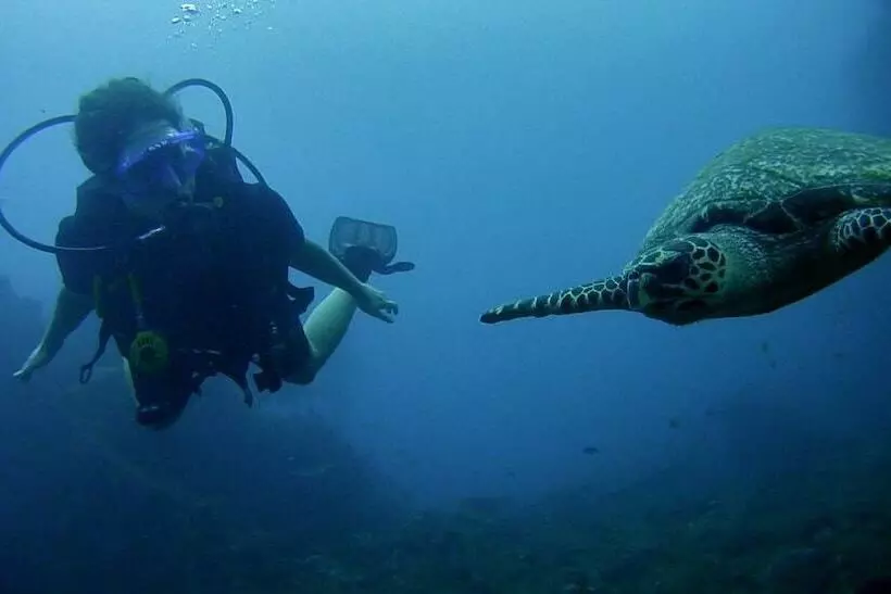 Arya Amed Beach Resort And Dive Center