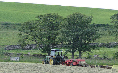 צימר Crake Trees Manor