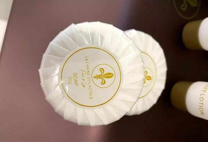 هتل Hôtel Fleur De Lys Plateau