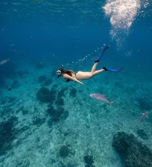 호텔 Ocean Tide Beach Resort