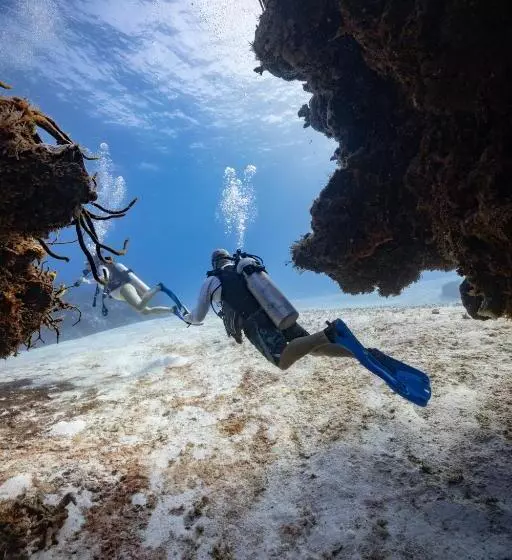 هتل Ocean Tide Beach Resort