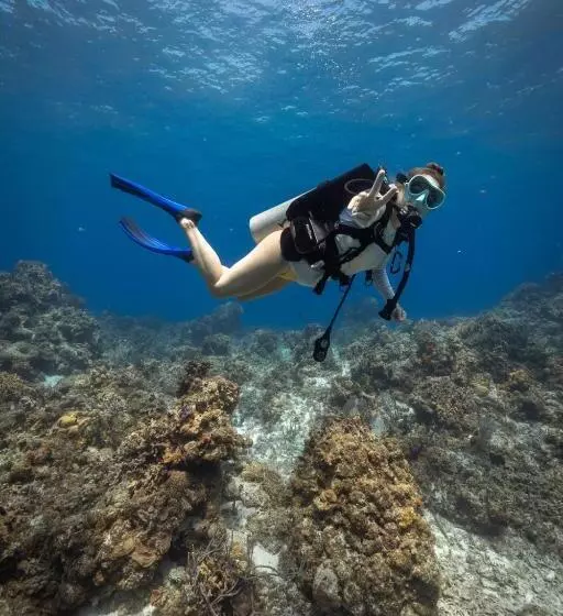 هتل Ocean Tide Beach Resort