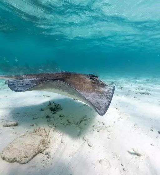 هتل Ocean Tide Beach Resort