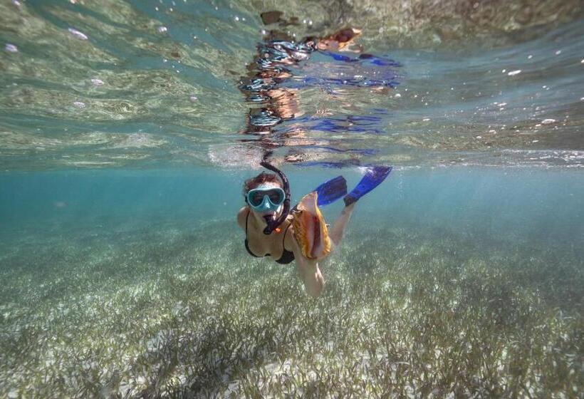 호텔 Ocean Tide Beach Resort