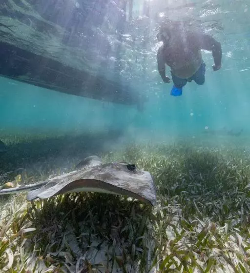 هتل Ocean Tide Beach Resort