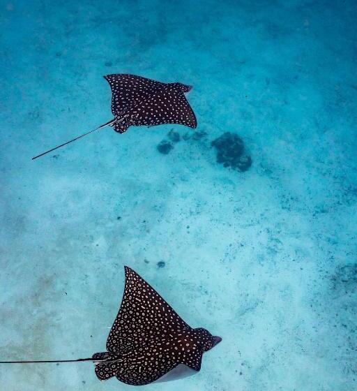 호텔 Ocean Tide Beach Resort