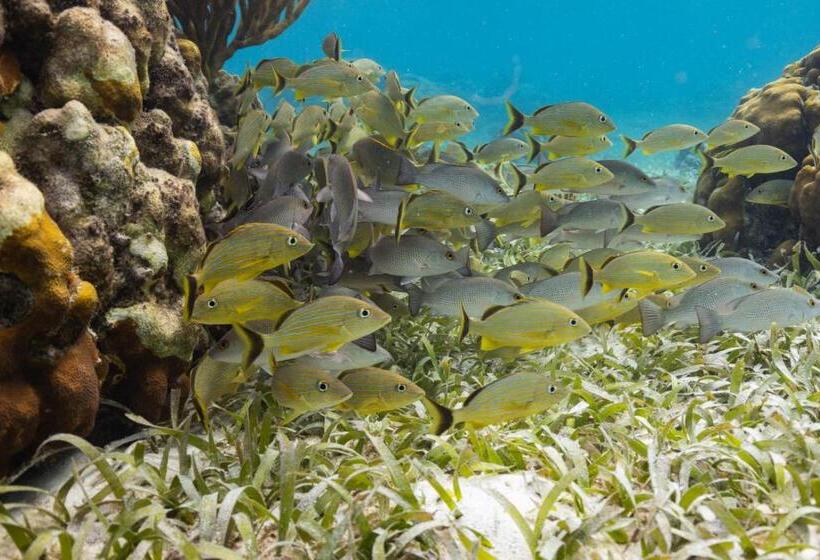 호텔 Ocean Tide Beach Resort