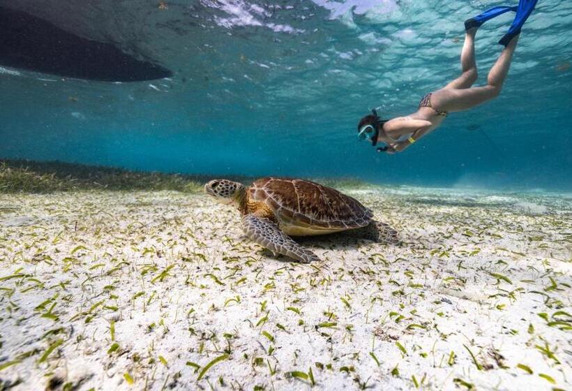 호텔 Ocean Tide Beach Resort