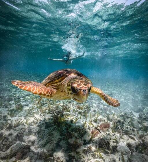 호텔 Ocean Tide Beach Resort