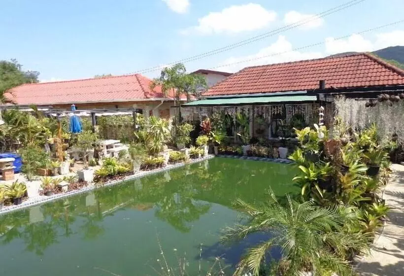 Hôtel One D Homestay