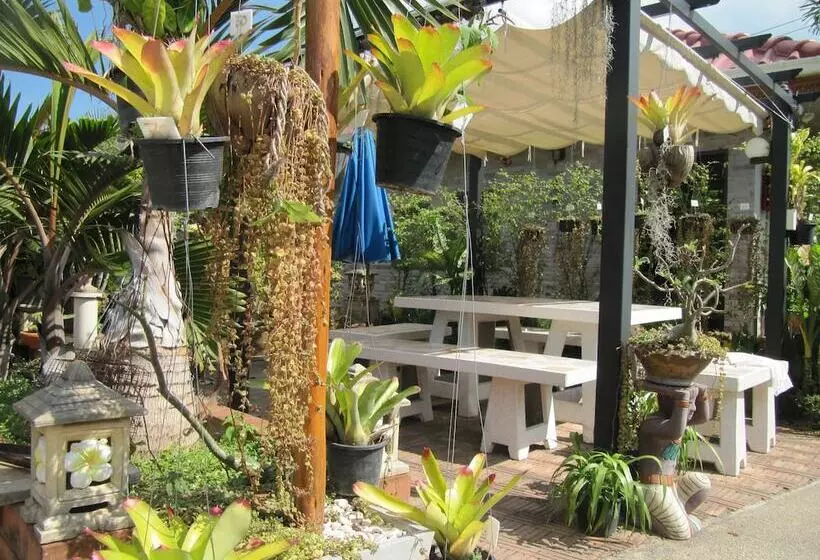 Hôtel One D Homestay