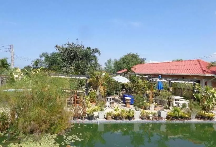 Hôtel One D Homestay