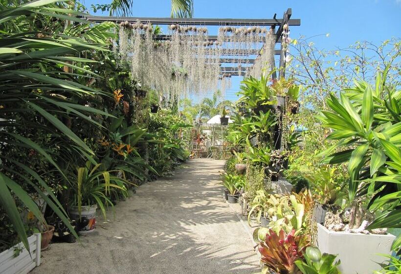 בית מלון כפרי One D Homestay