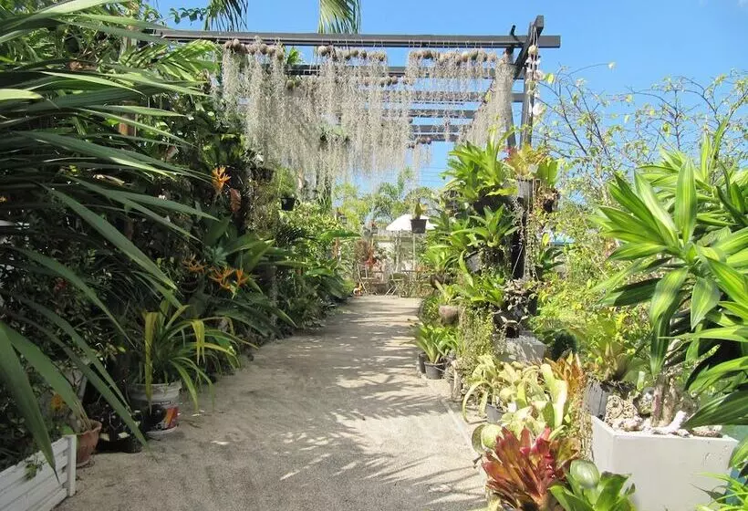 Hôtel One D Homestay