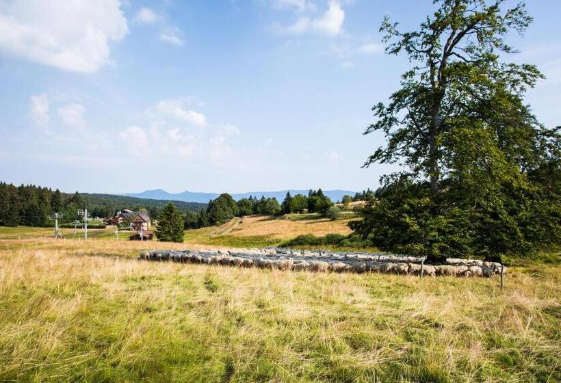 فندق Restaurant Mont Champ Du Feu