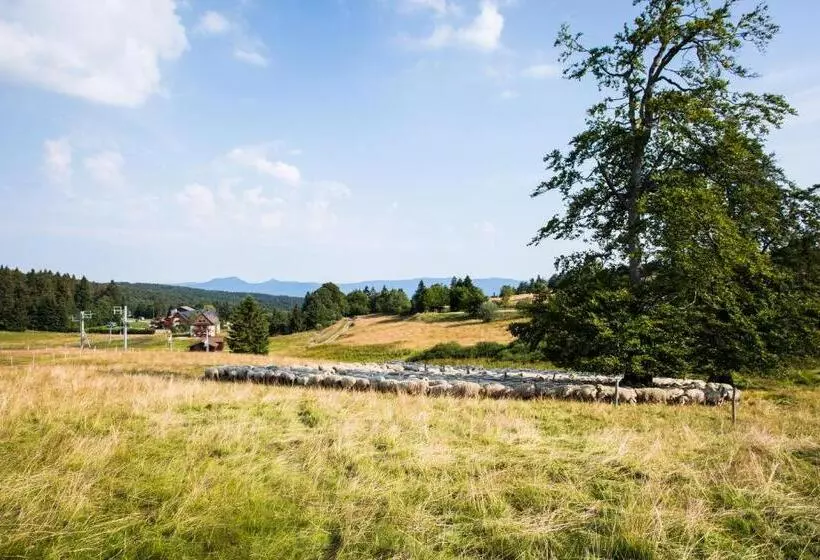 هتل Restaurant Mont Champ Du Feu