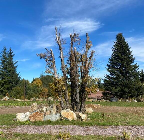 酒店 Restaurant Mont Champ Du Feu