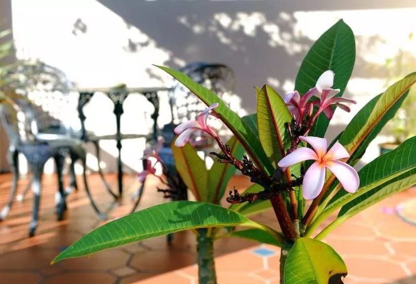 پانسیون Bayside Guesthouse